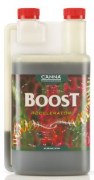 CANNA_Boost_Acce_50bff79fa152e.jpg