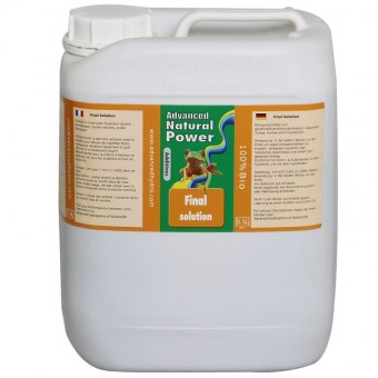 Final_Solution_5_58af7465279a6.jpg
