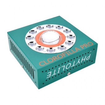 clorofilla80.jpg
