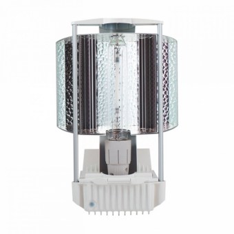 epapillon-600w-2.jpg